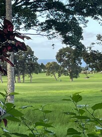 View from living room