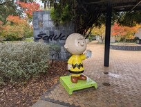 Minutes from the Charles Schulz Museum & Research Center.