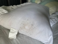 Moldy pillow number one
