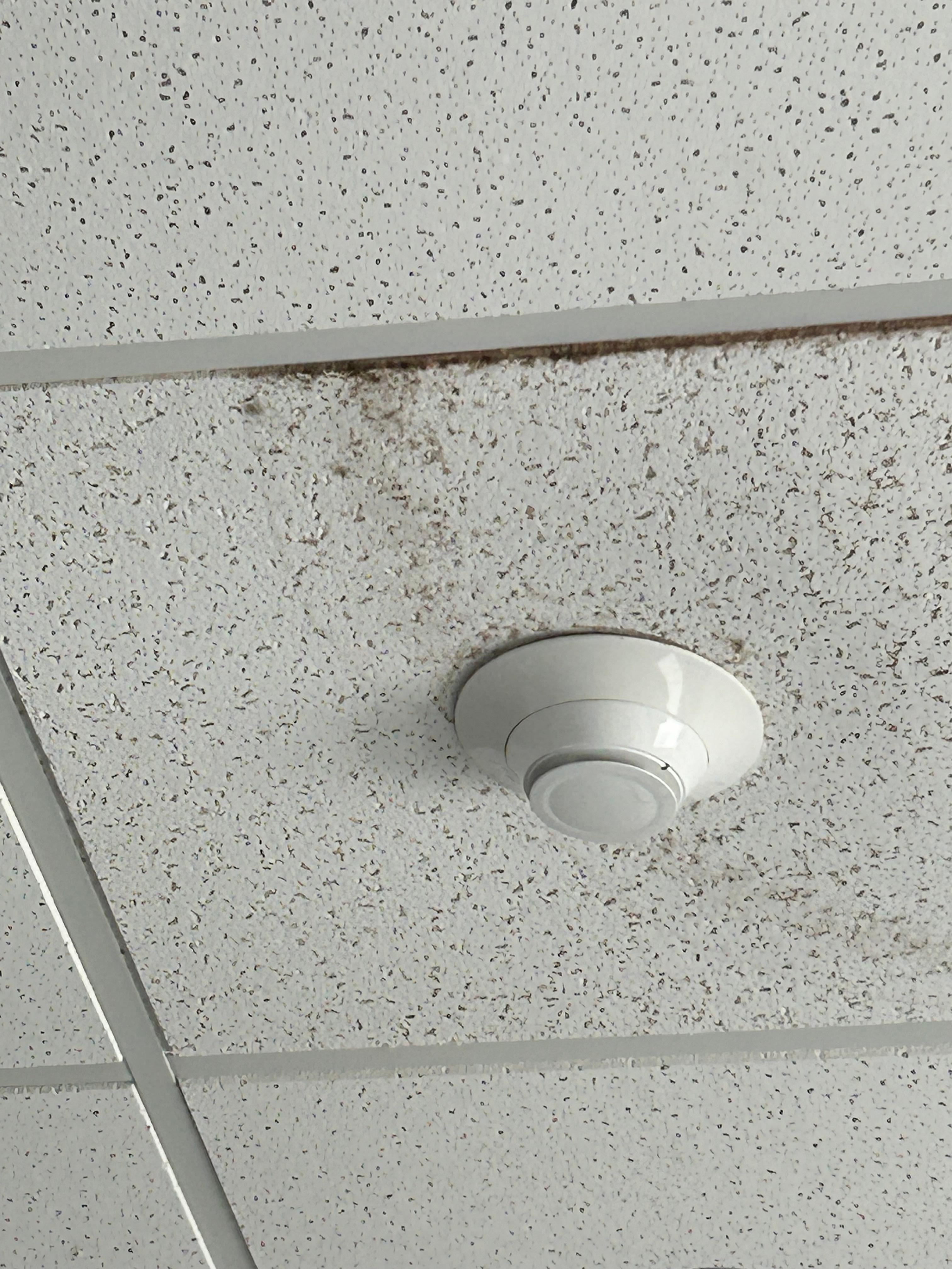 My son had watery eyes, sneezing and allergies after just a short time of being here. We left asap. 