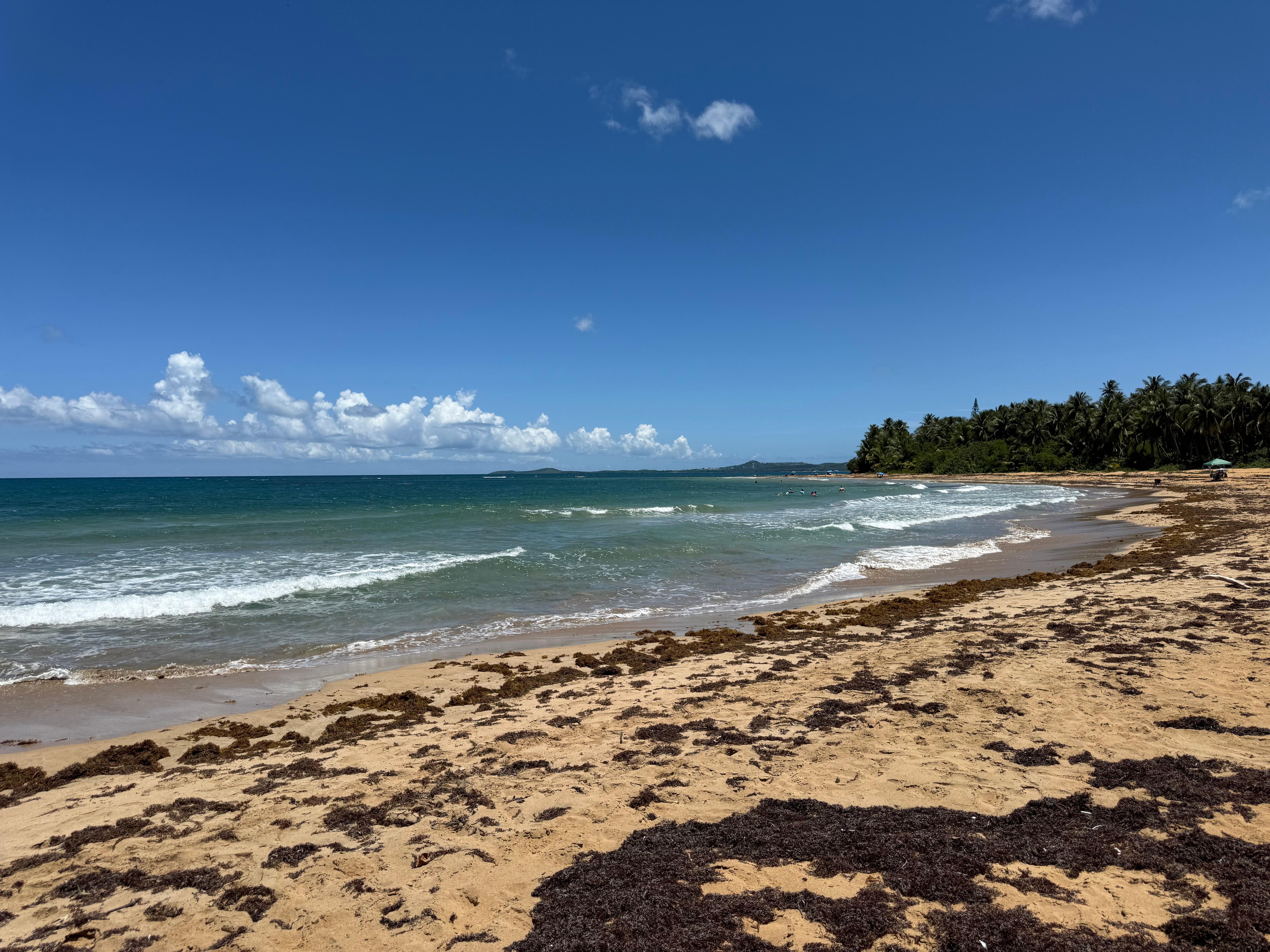 Beach just at the end of the road from home. Beautiful!