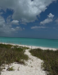Path down to the beach