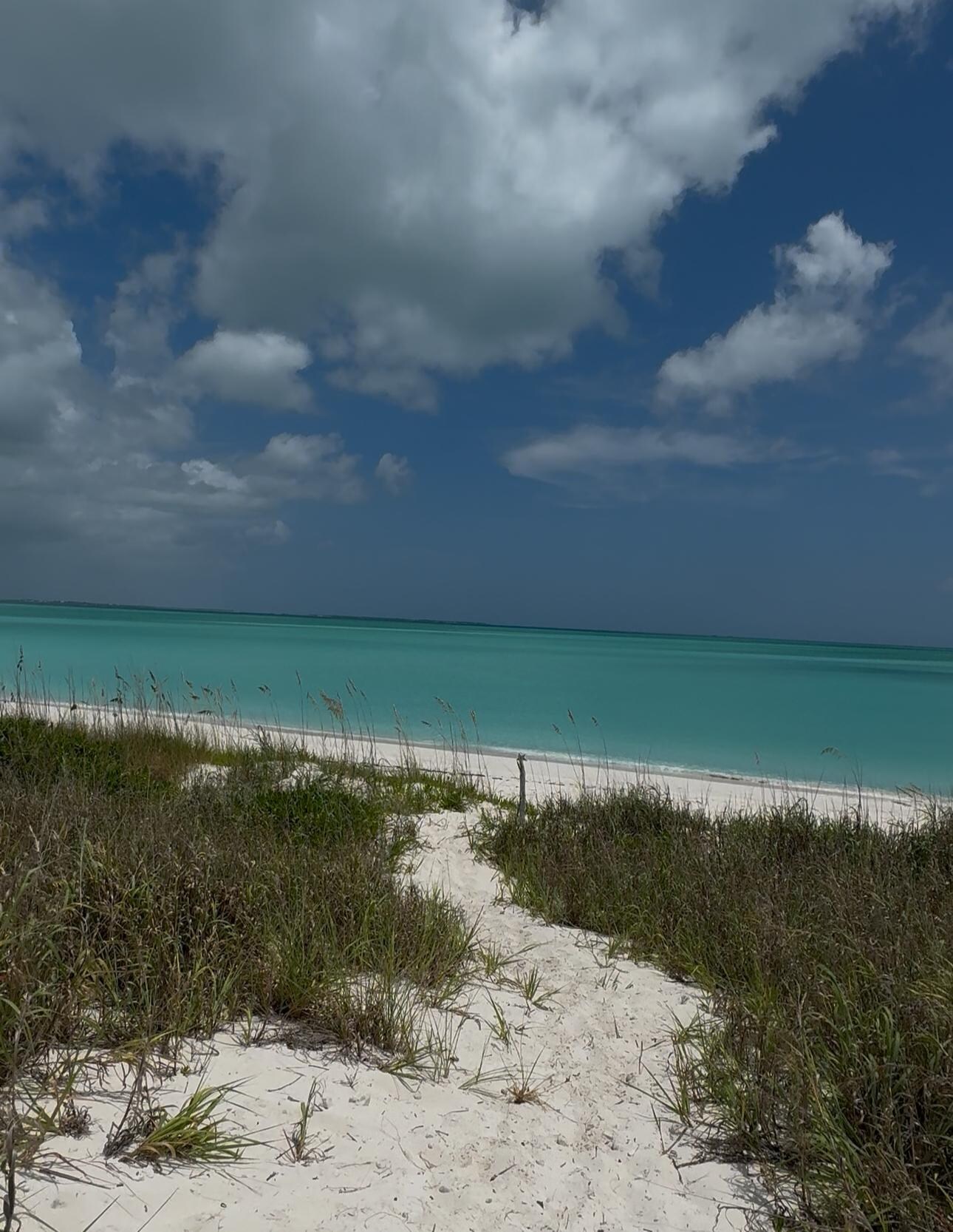 Path down to the beach 