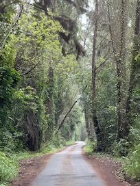 The road to the house can get busy on this road. Can fit 1 car but you will need to veer off to the dirt/gravel at times for oncoming traffic.