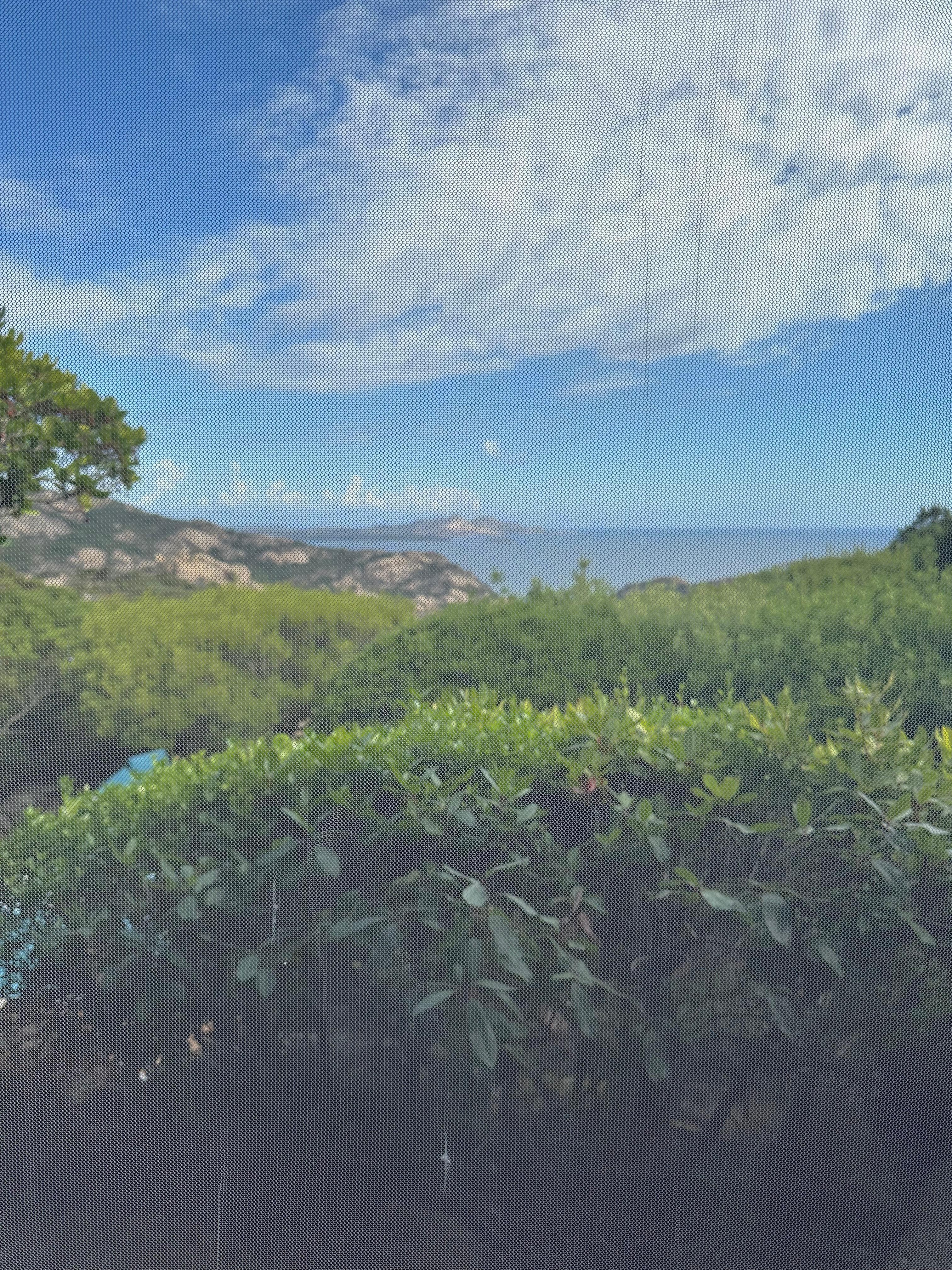 Blick durchs Fliegengitter aus dem Wohnbereich