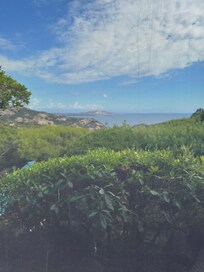 Blick durchs Fliegengitter aus dem Wohnbereich