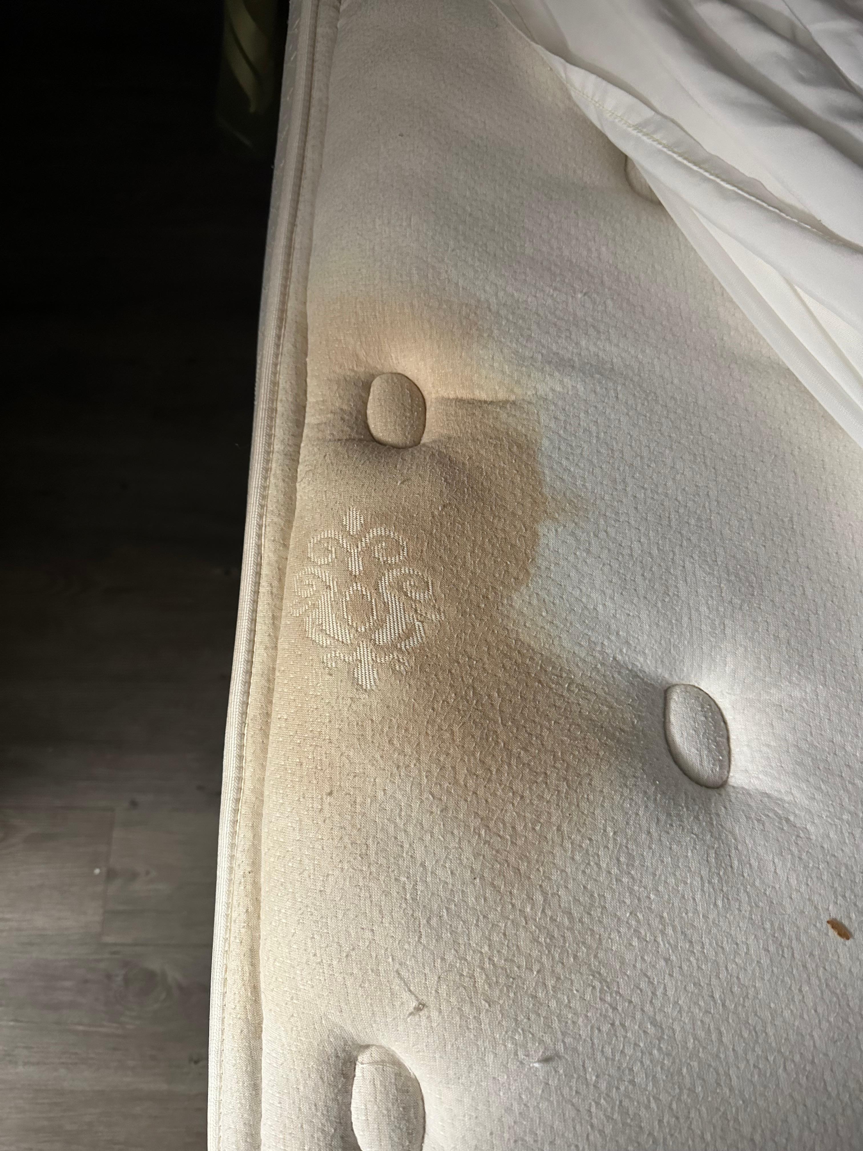 One of the many iron stains on mattress 