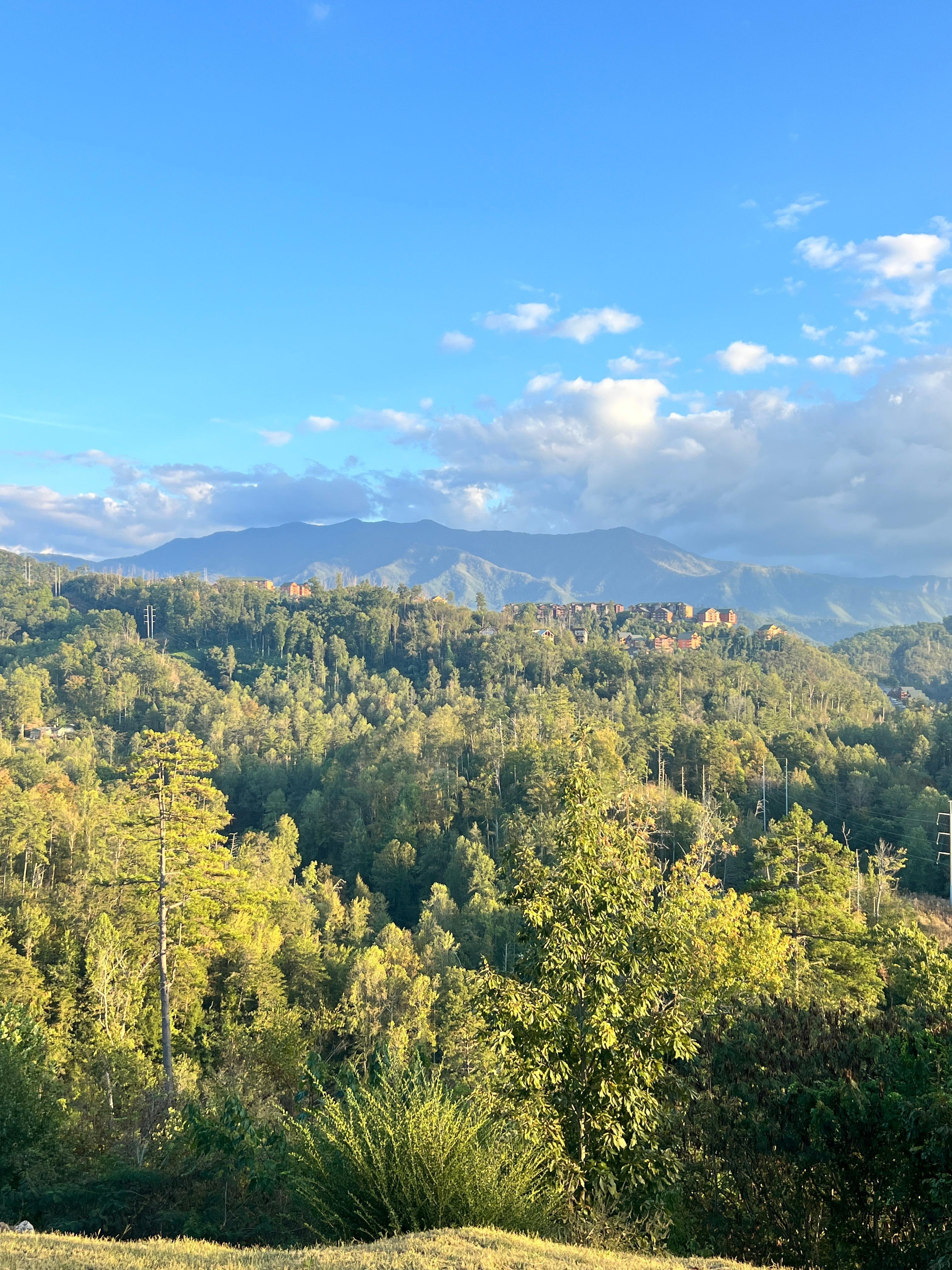 View from the driveway.  It did not get old 