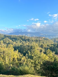 View from the driveway. It did not get old