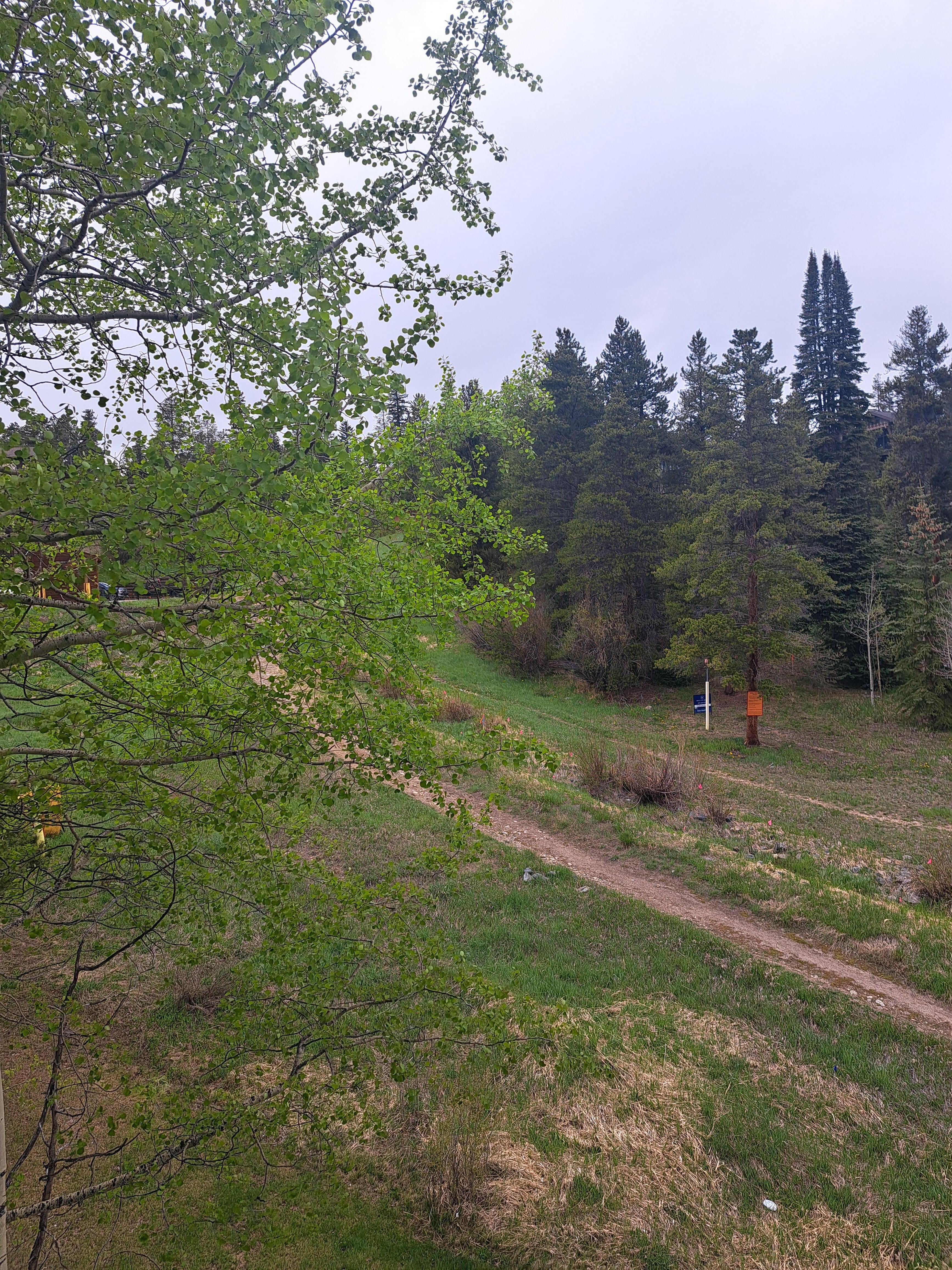 View from balcony