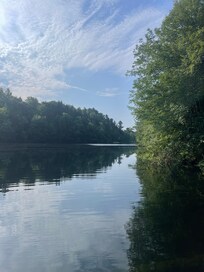 The pond