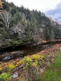 View from the back deck
