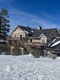 Back view against Forest