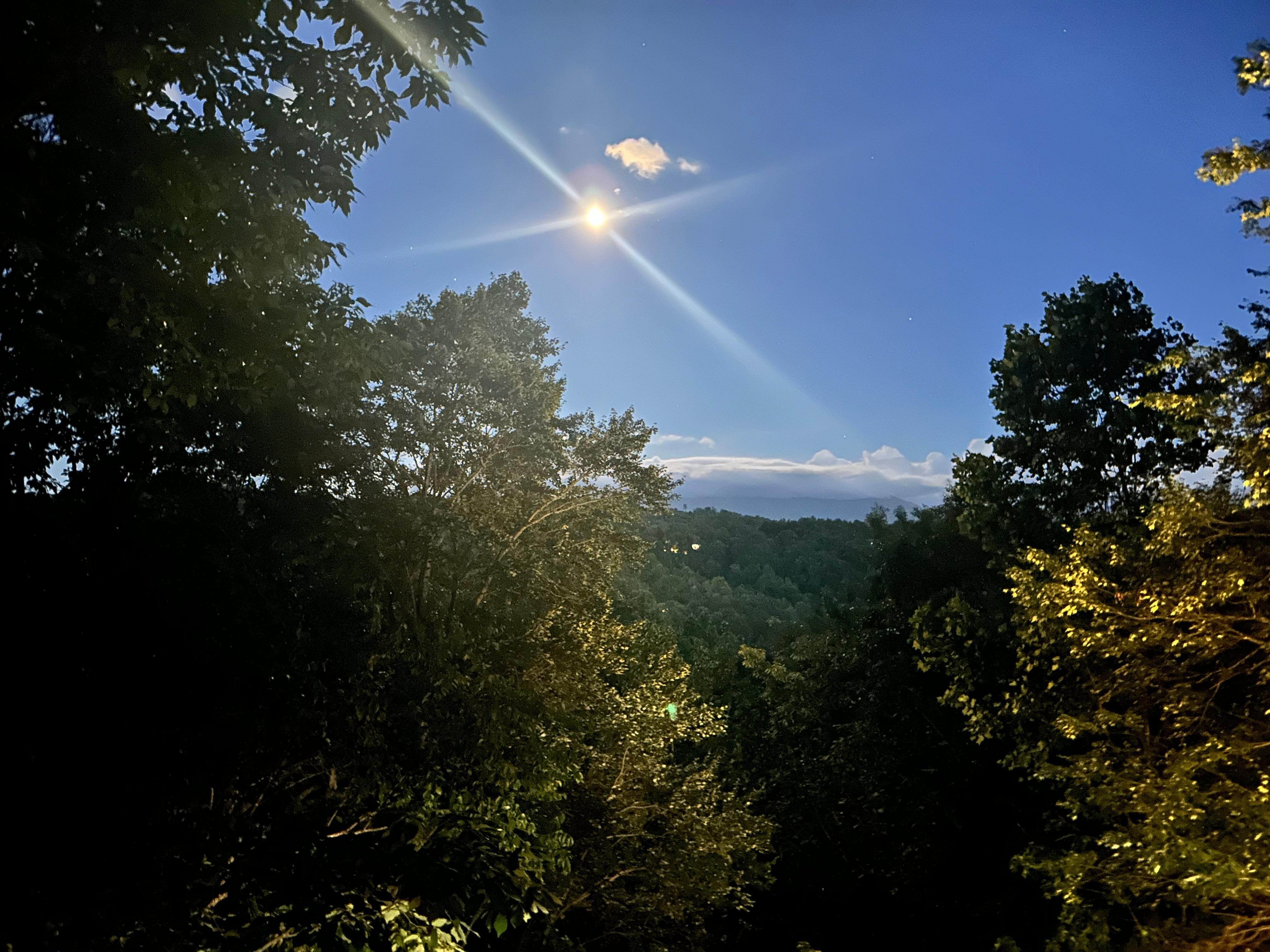 Night time view of Mount Le Conte and moon!