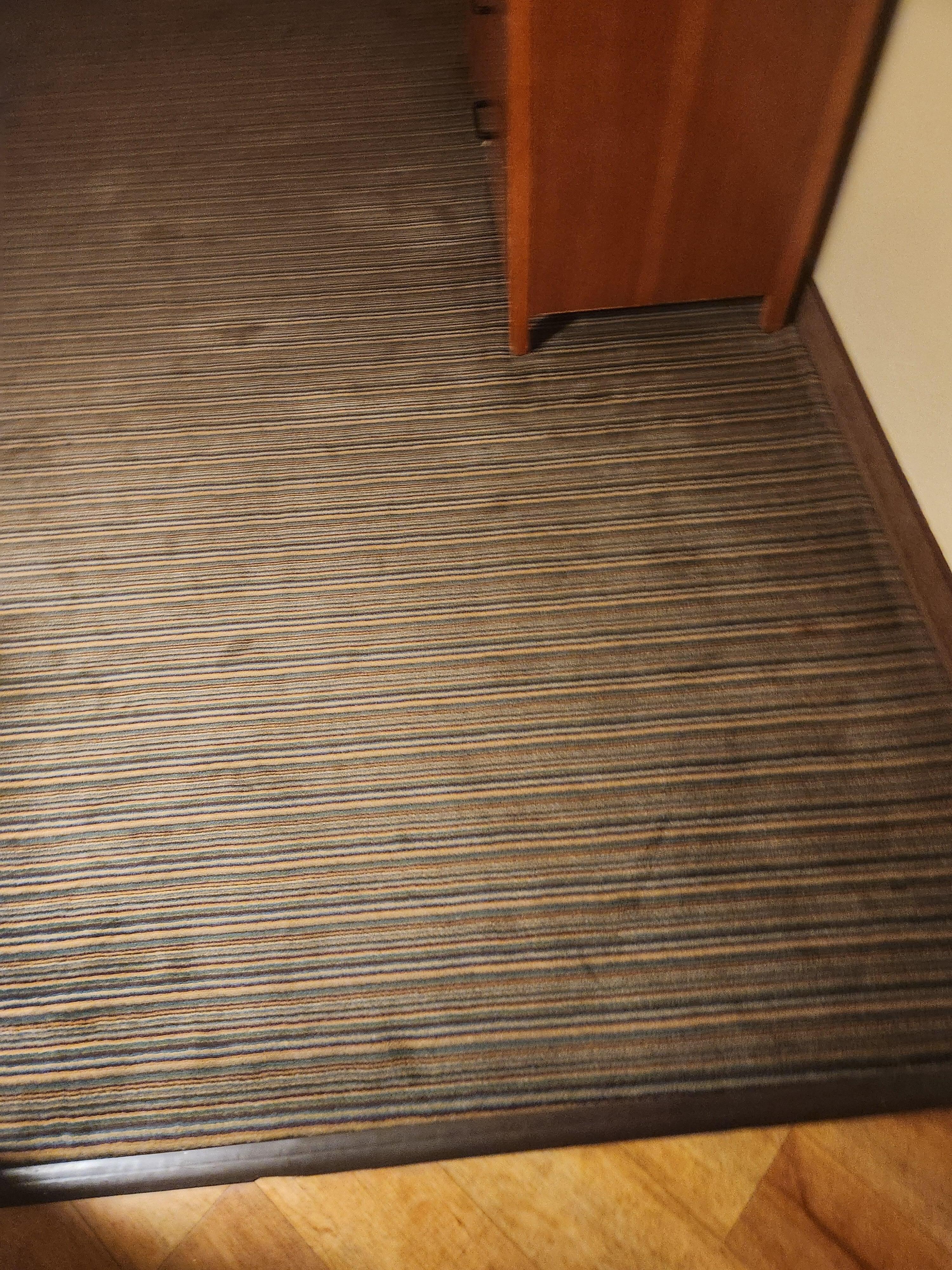 Carpet filthy