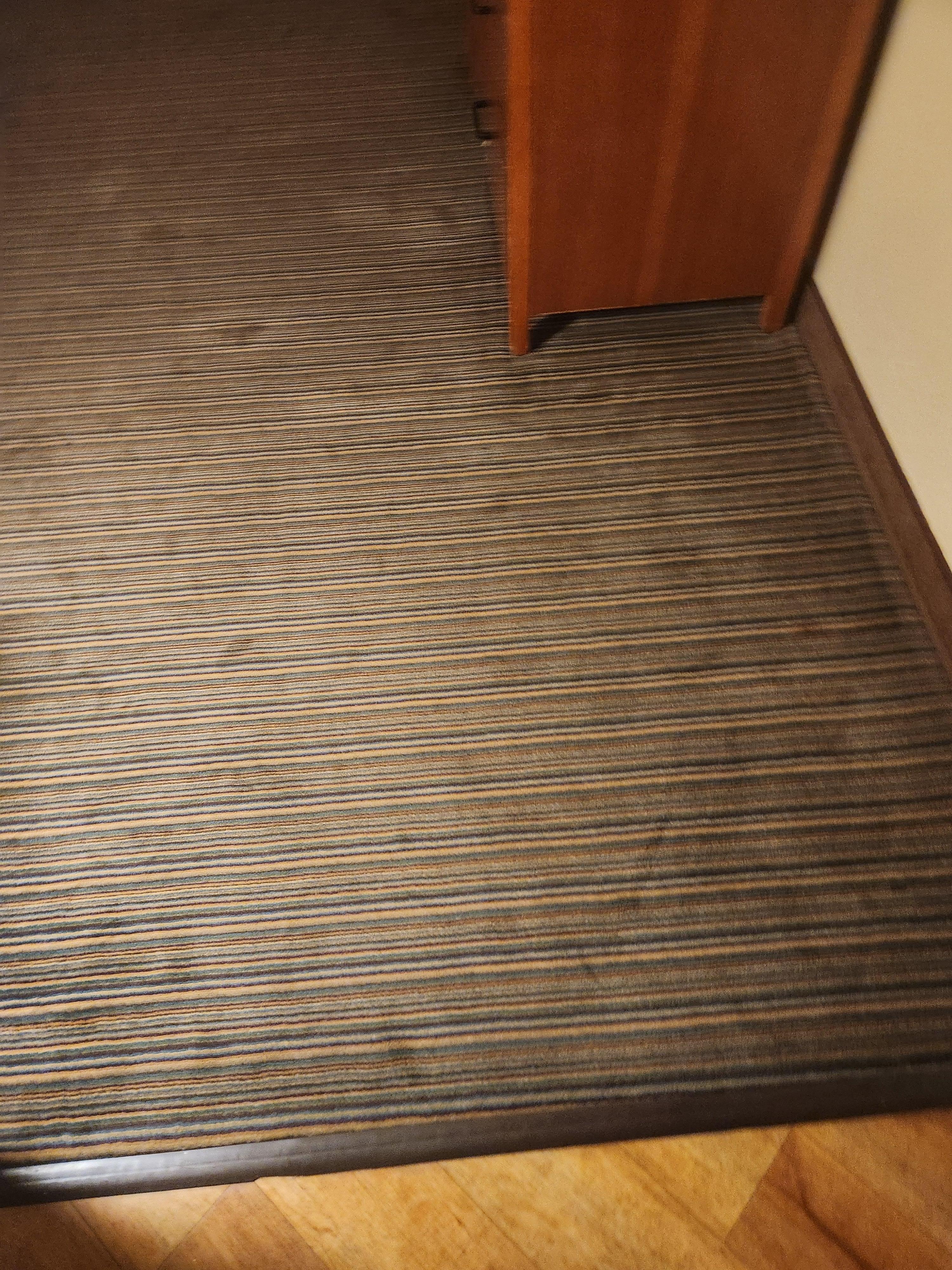 Carpet filthy
