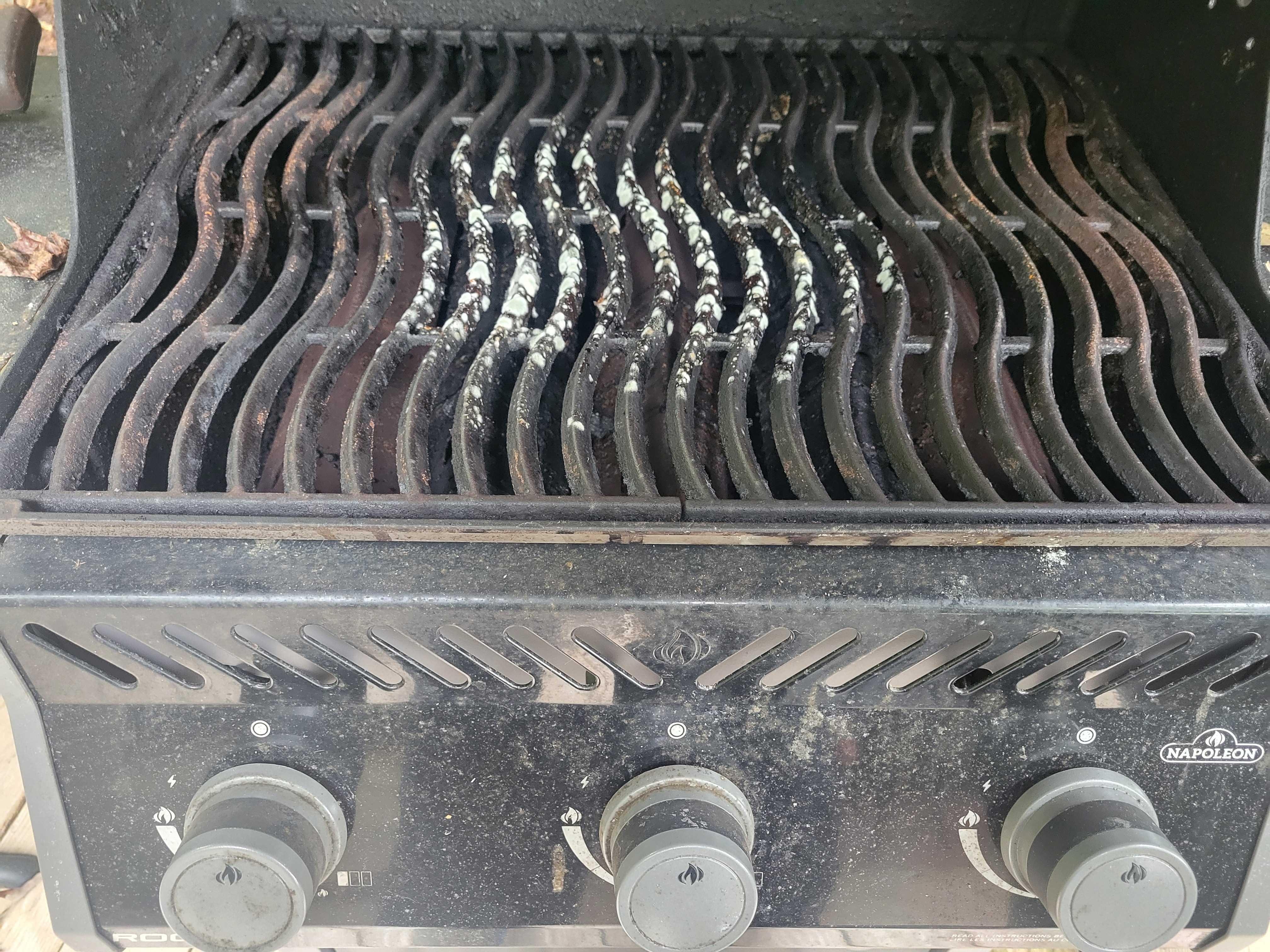 Mold on Outdoor Grille