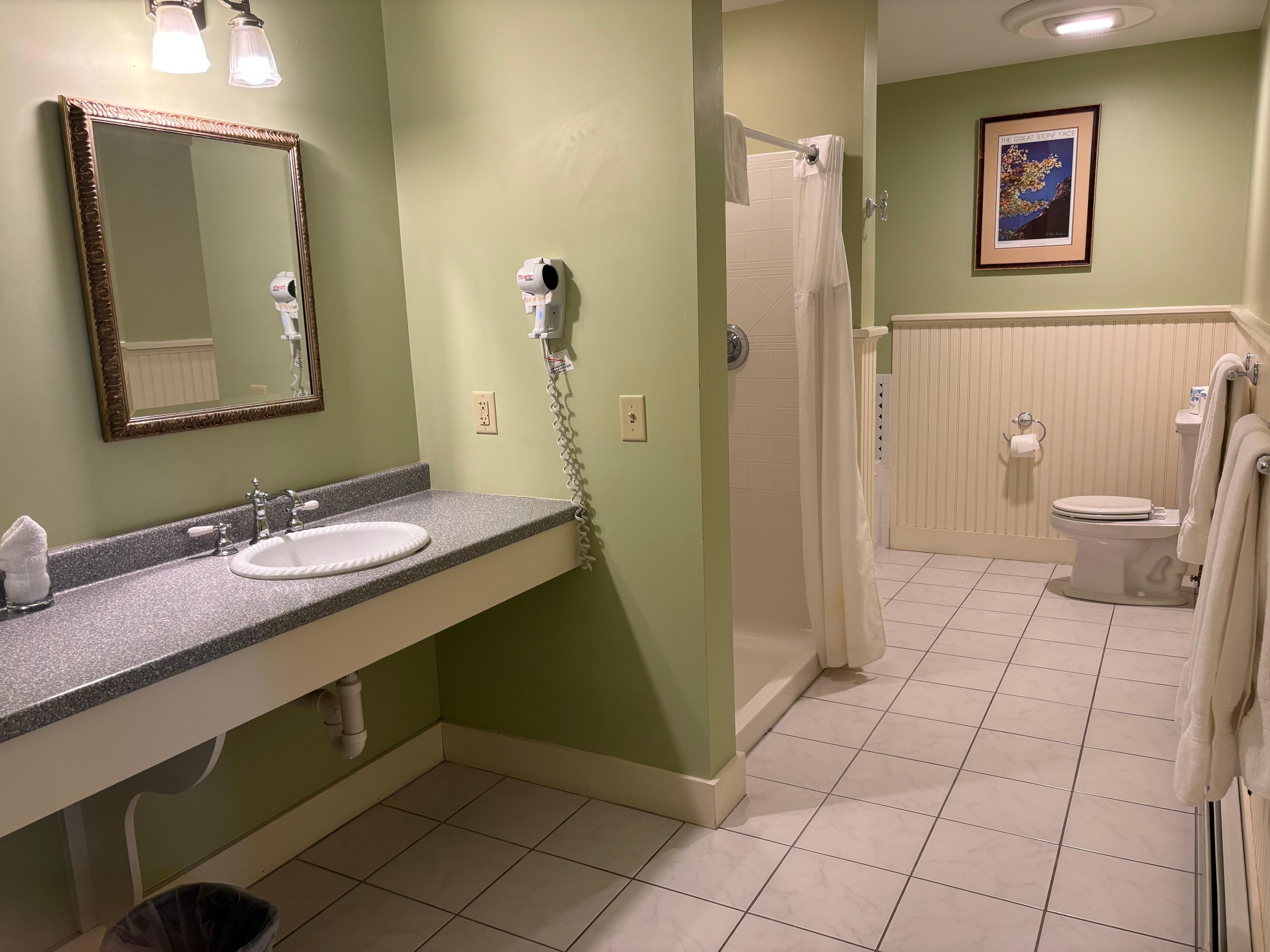 BIG bath with separate tub and shower