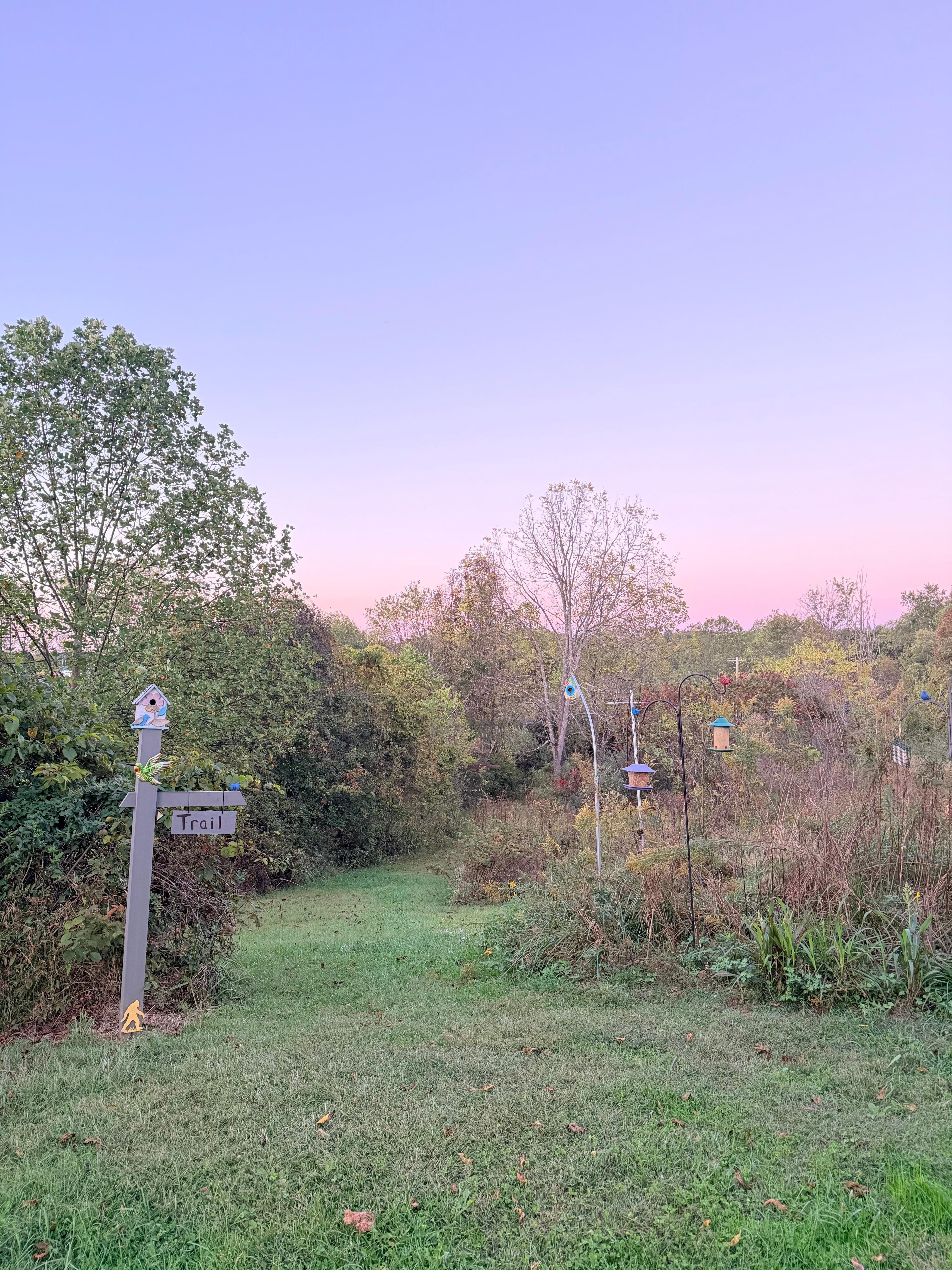 Trail just behind cabin leading to a pond, also beautiful fields visible from yard & windows 