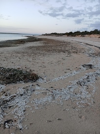 Private beach