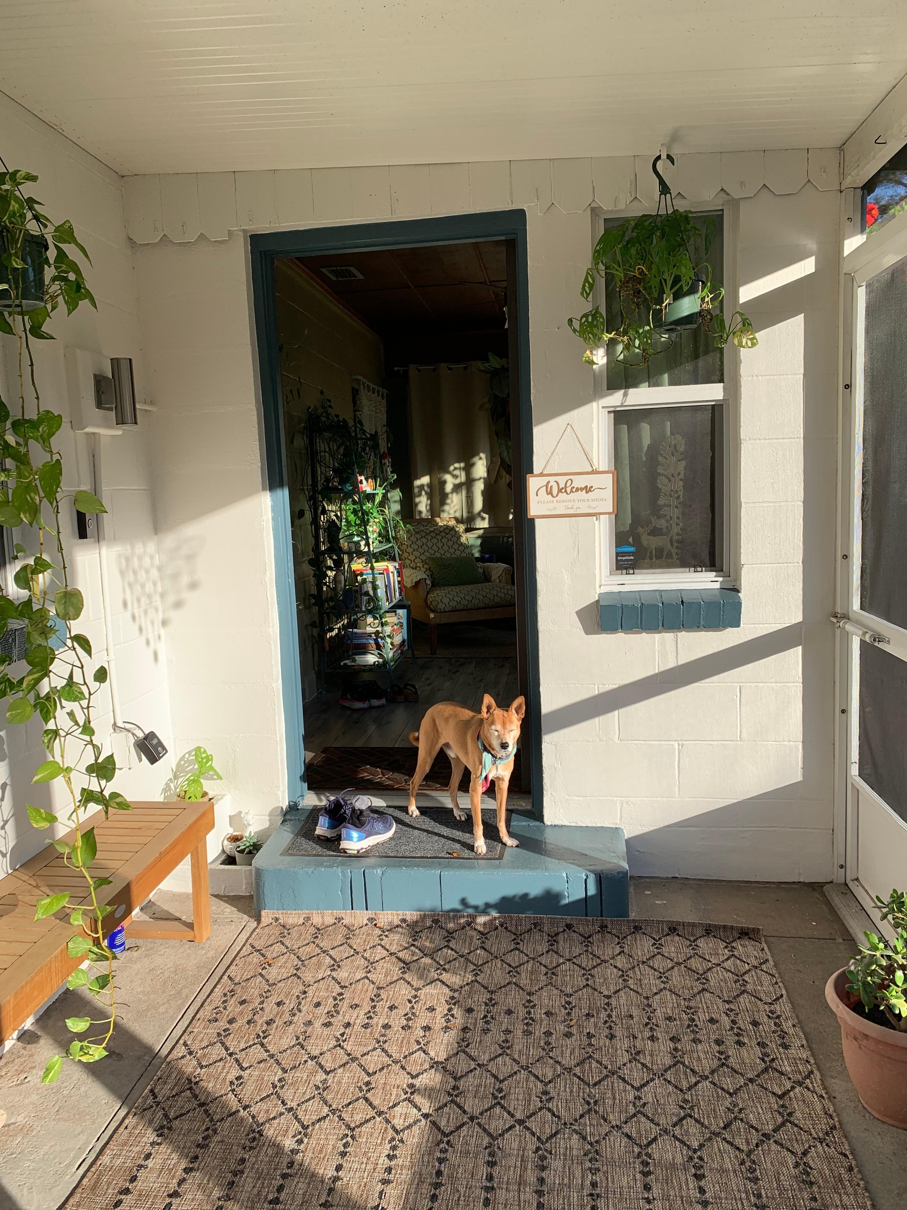 I loved the screened in entry way - it was easy to kick off your shoes, and it was just a nice welcoming point to the home with the plants, bench, etc.