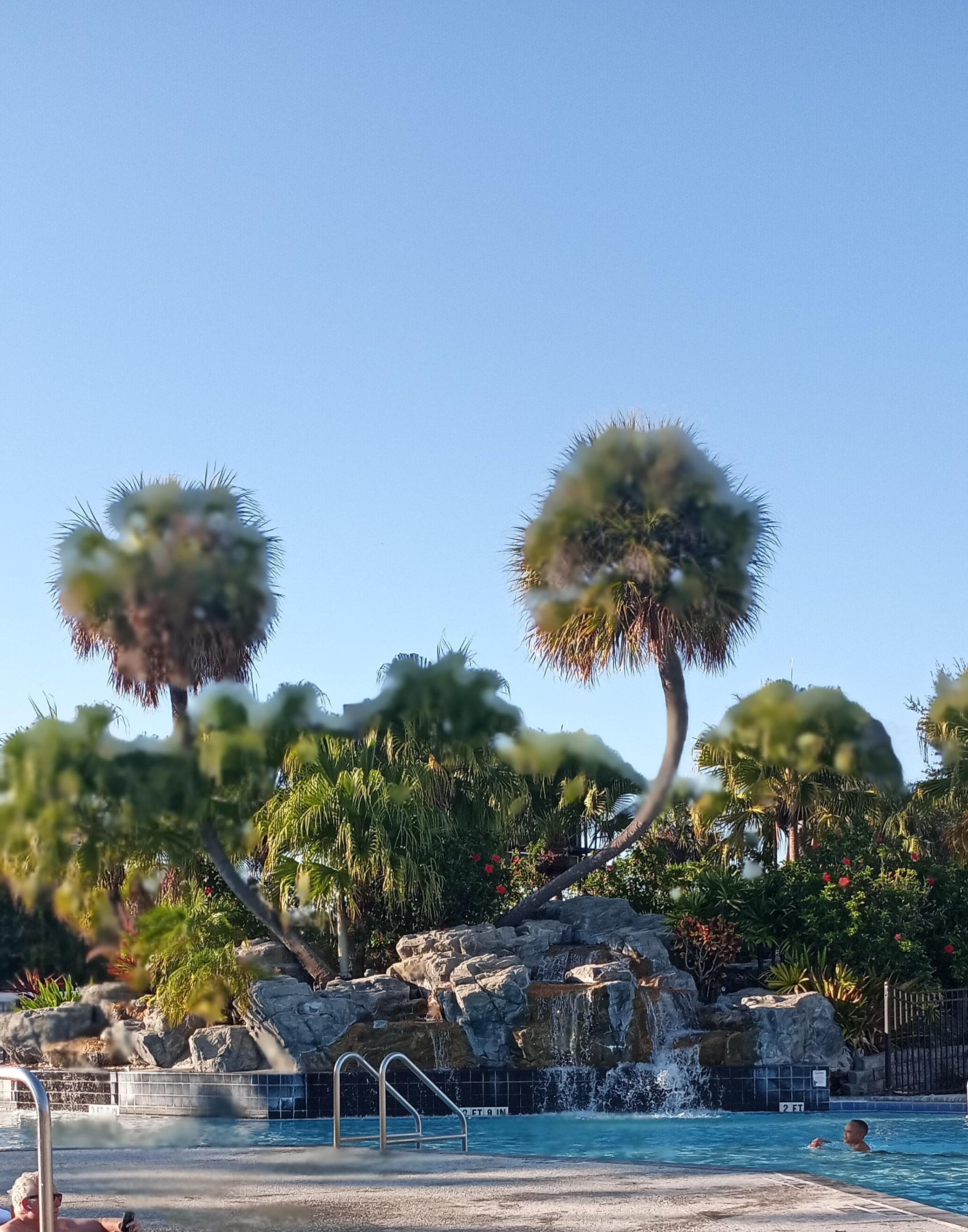 The view by the pool is so beautiful 