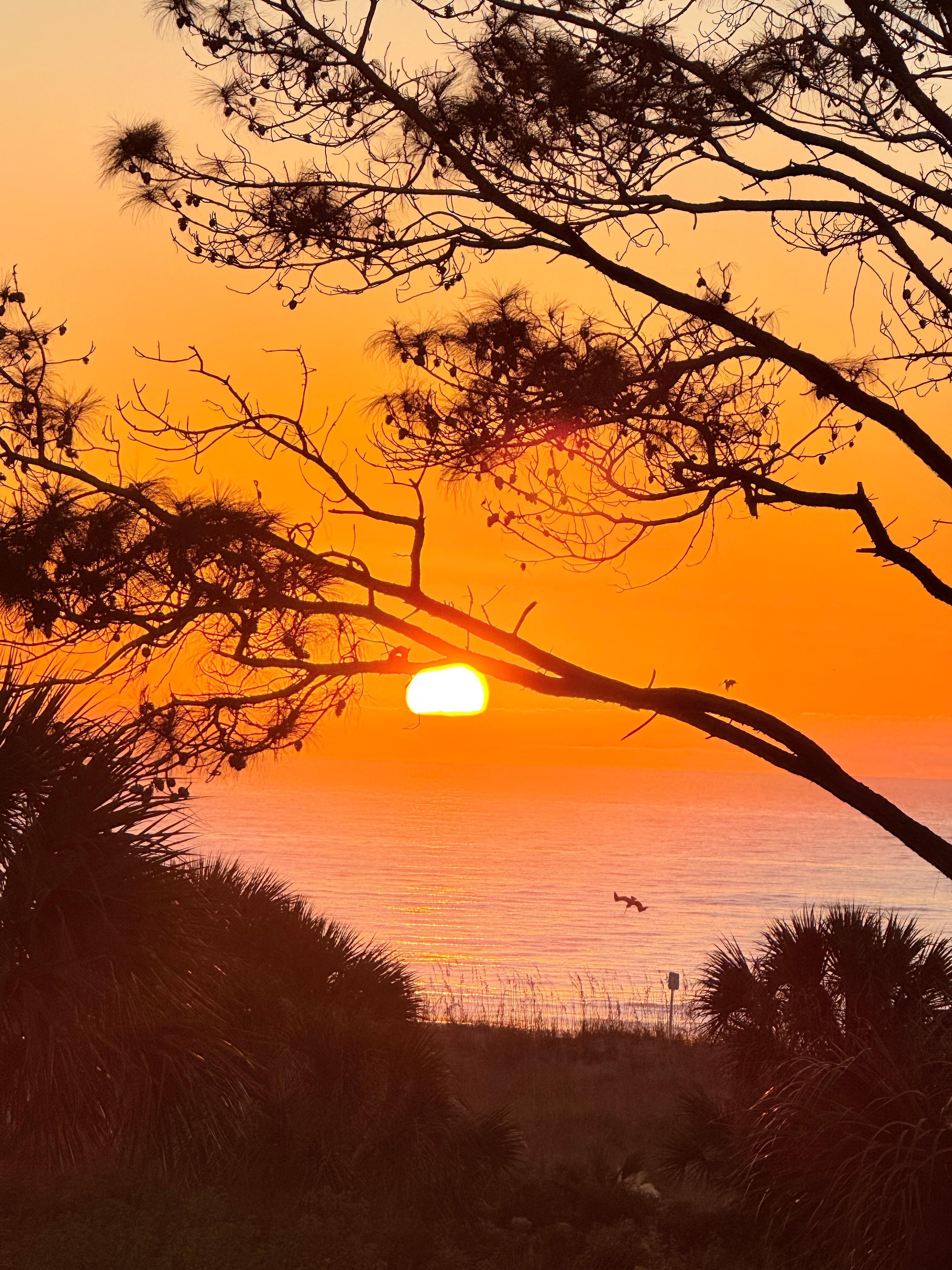 Sunrise from the balcony.