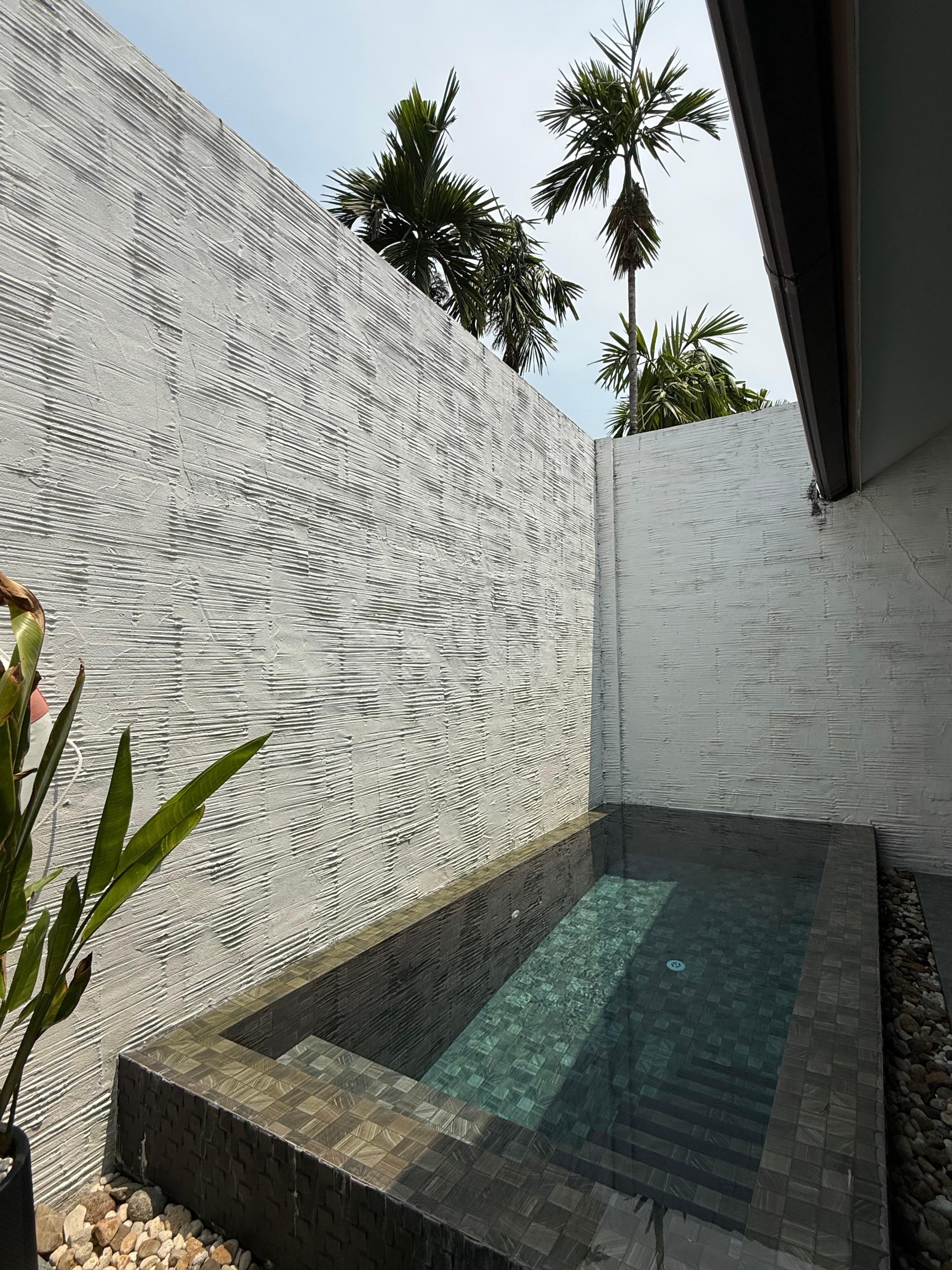 Private plunge pool! 