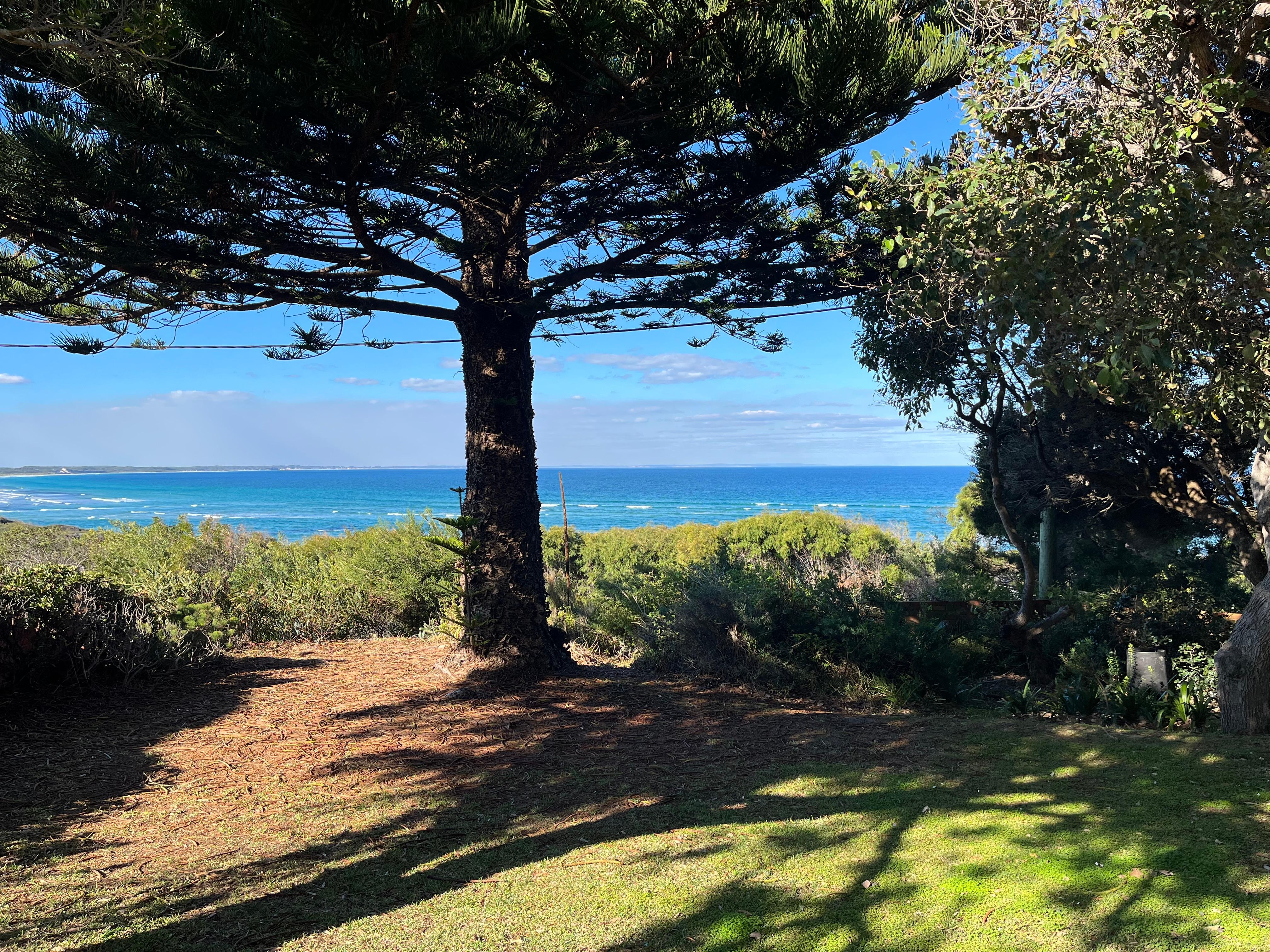 View from house