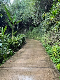 Path to the beach