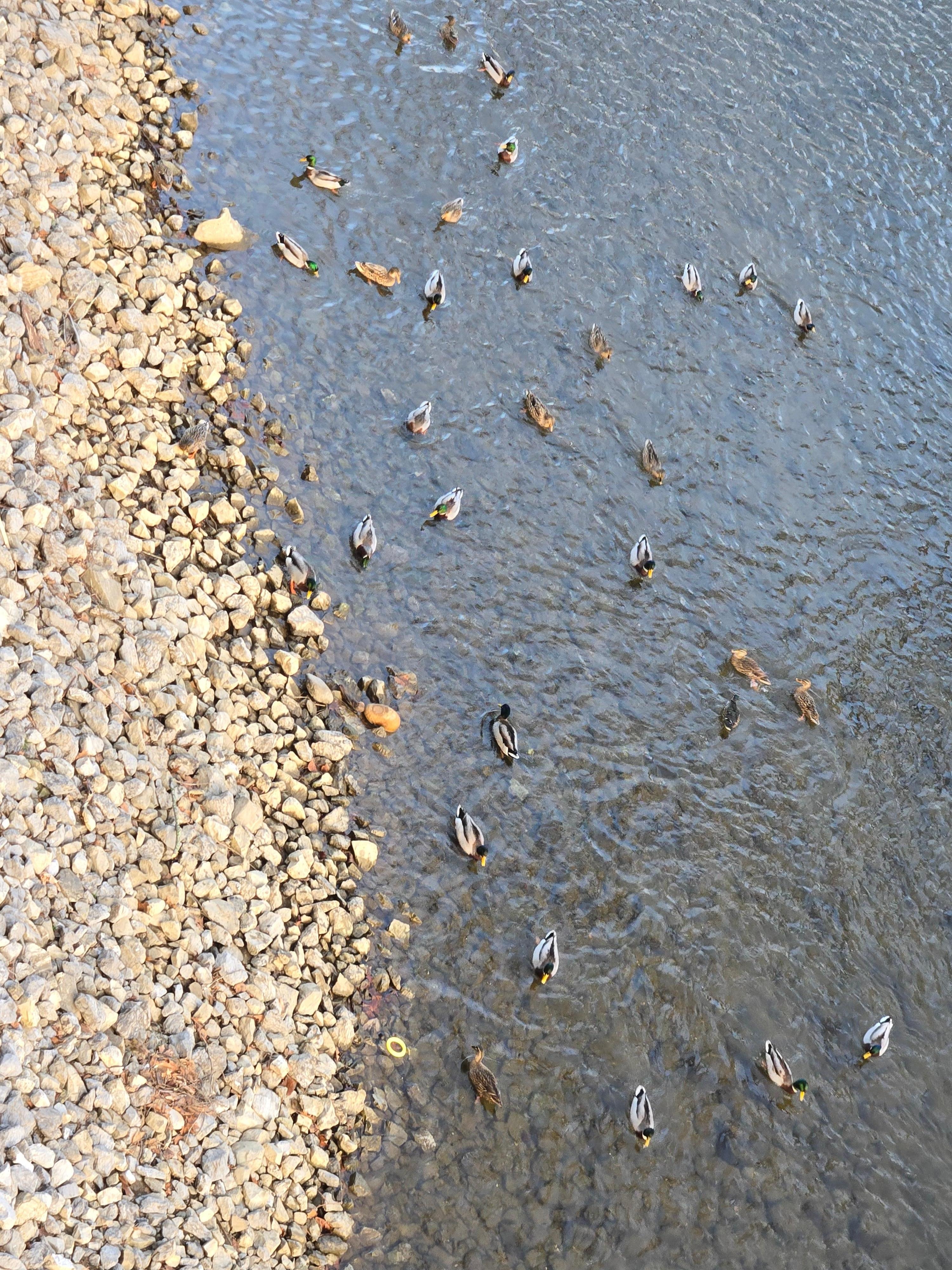 Creek view is so peaceful 