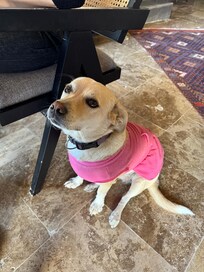 Layla hanıma selamlar :)