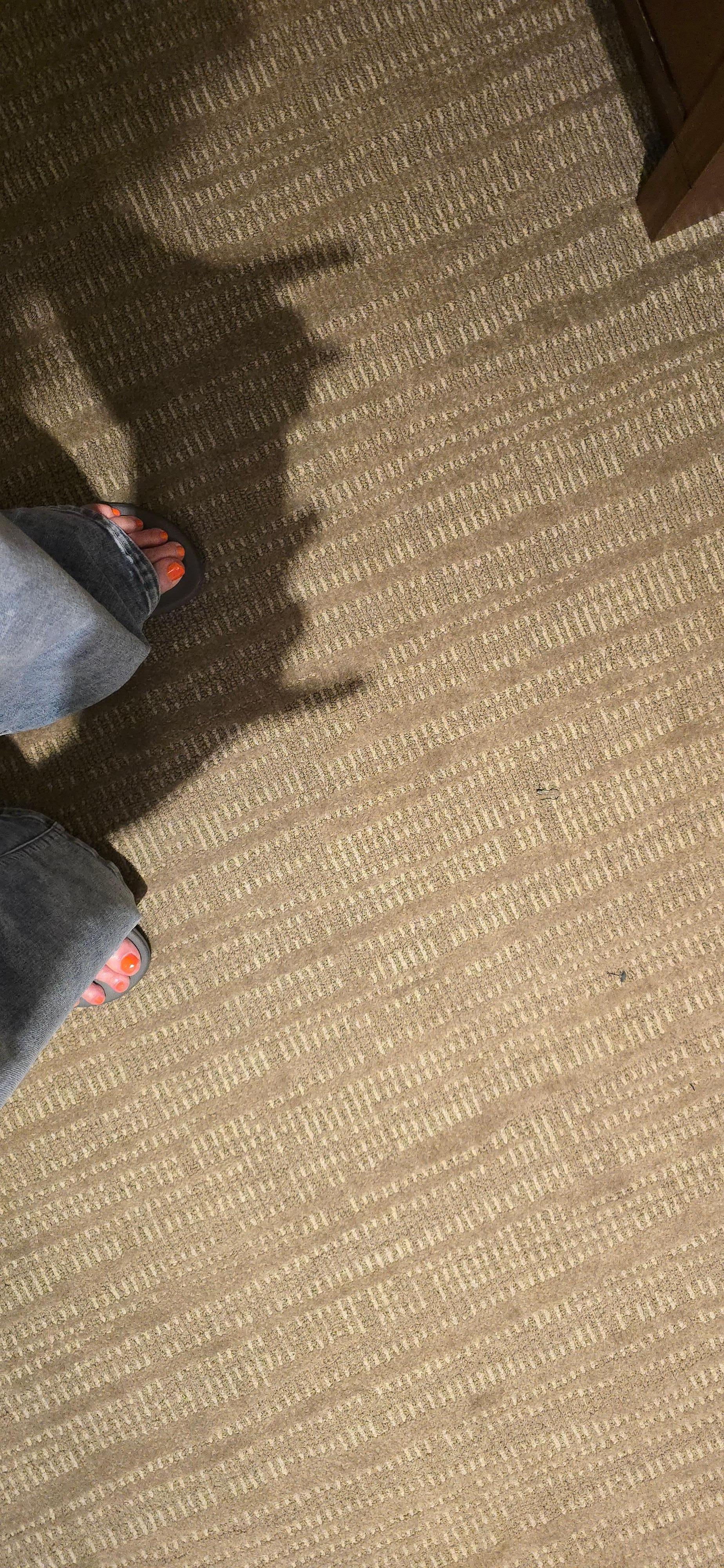 Open safety pin on the floor.  