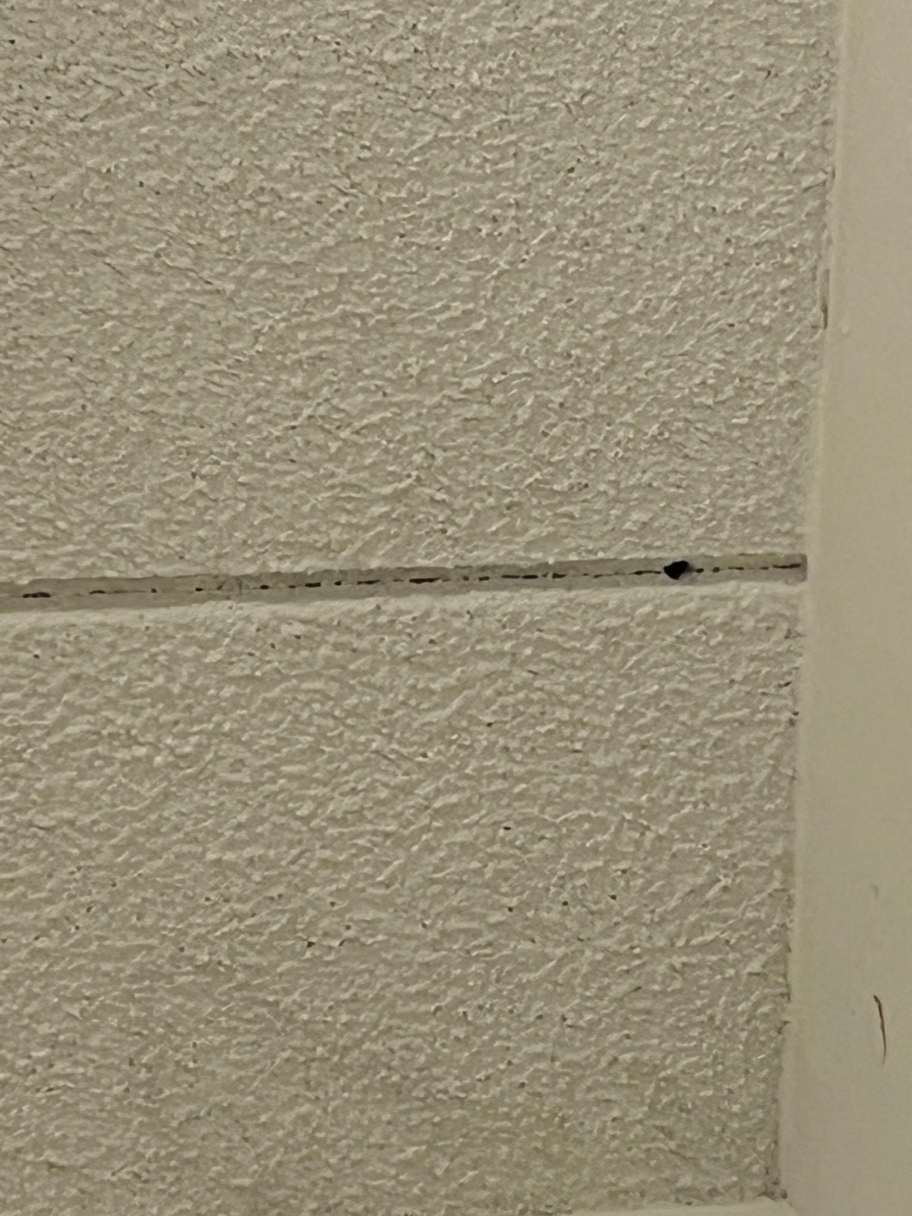 Ceiling 