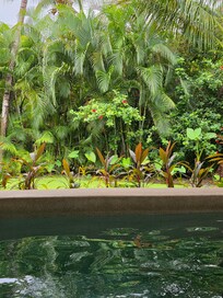 Plunge pools at Ikal Spa