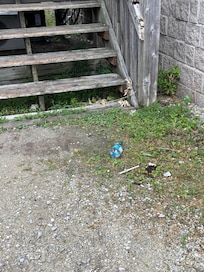 Garbage right by the front door