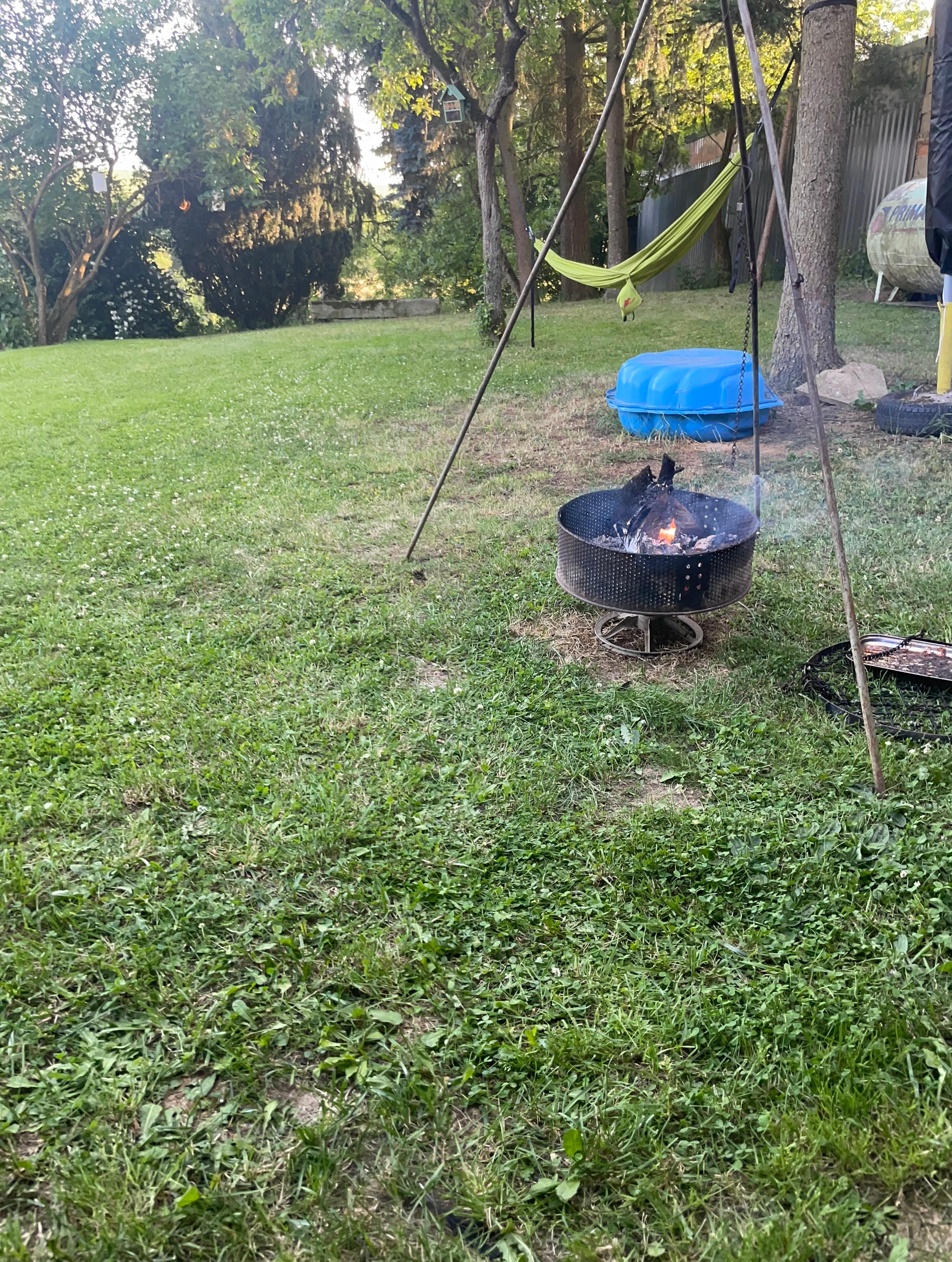 der großzügige Garten 