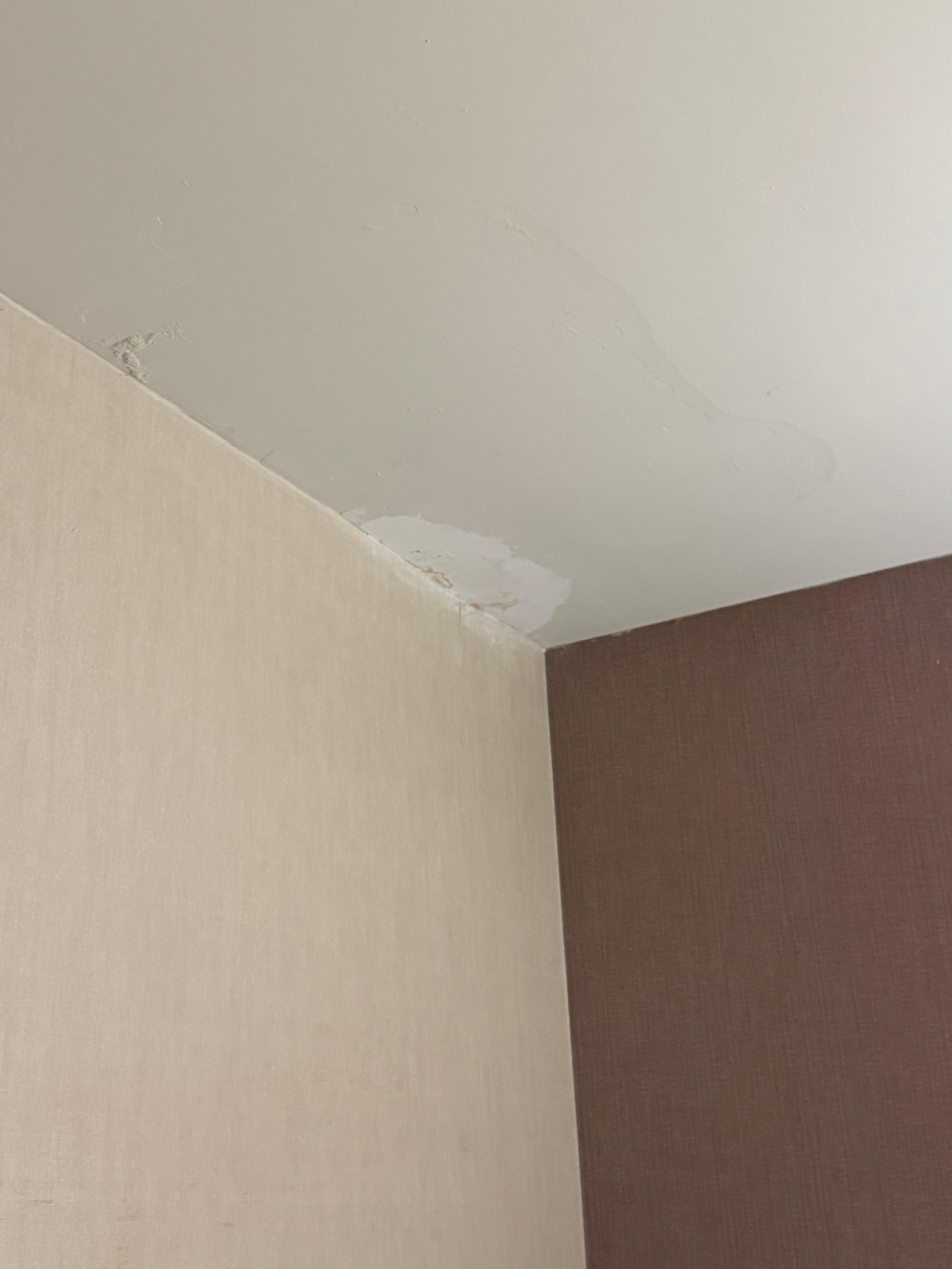 Patched ceiling half done 