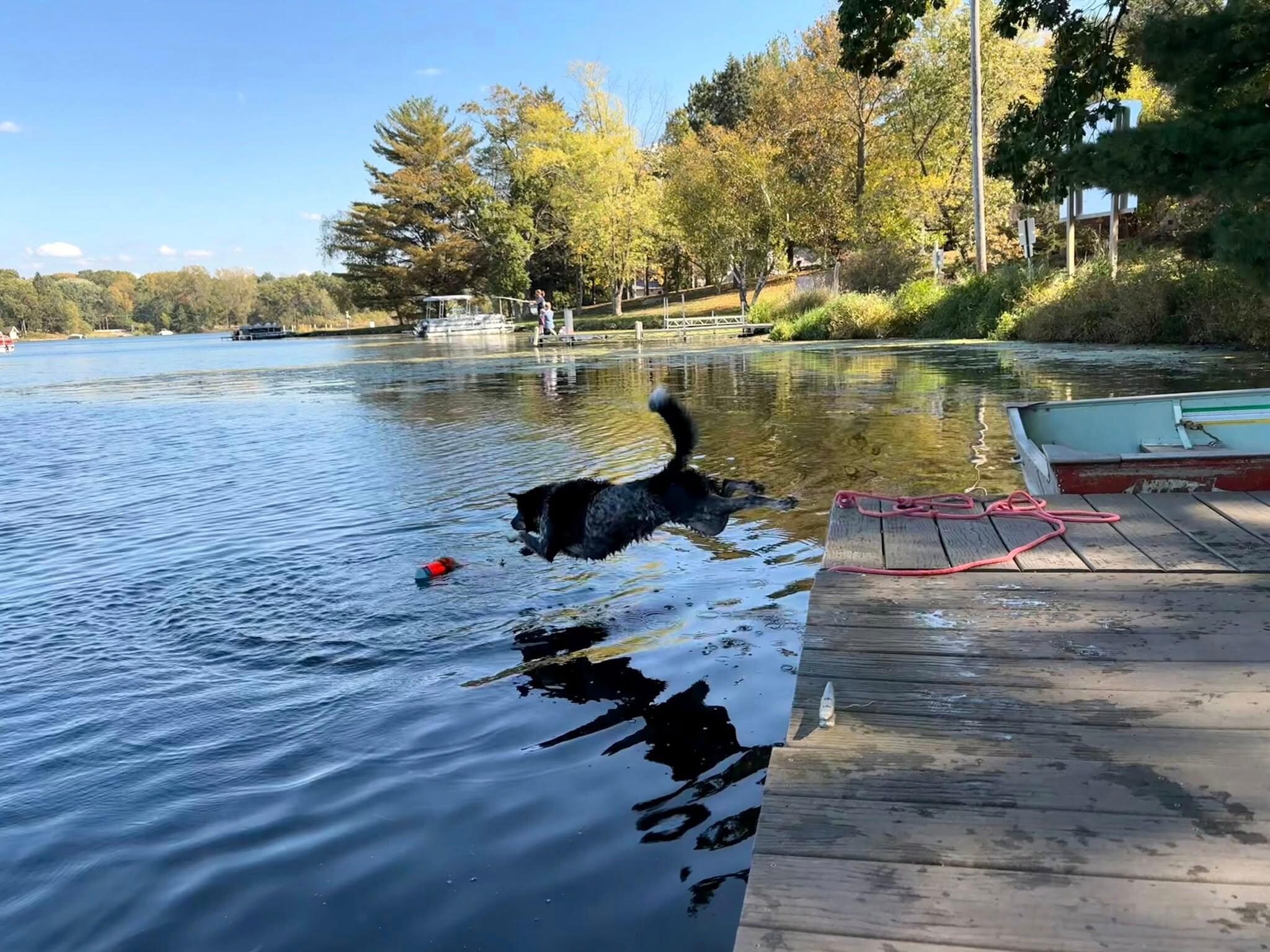 Our pup had the time of her life!