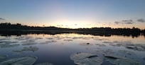 View at the docks