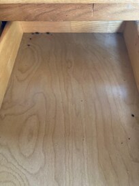 This is the silverware drawer, after removing all the contents and before disinfecting it.