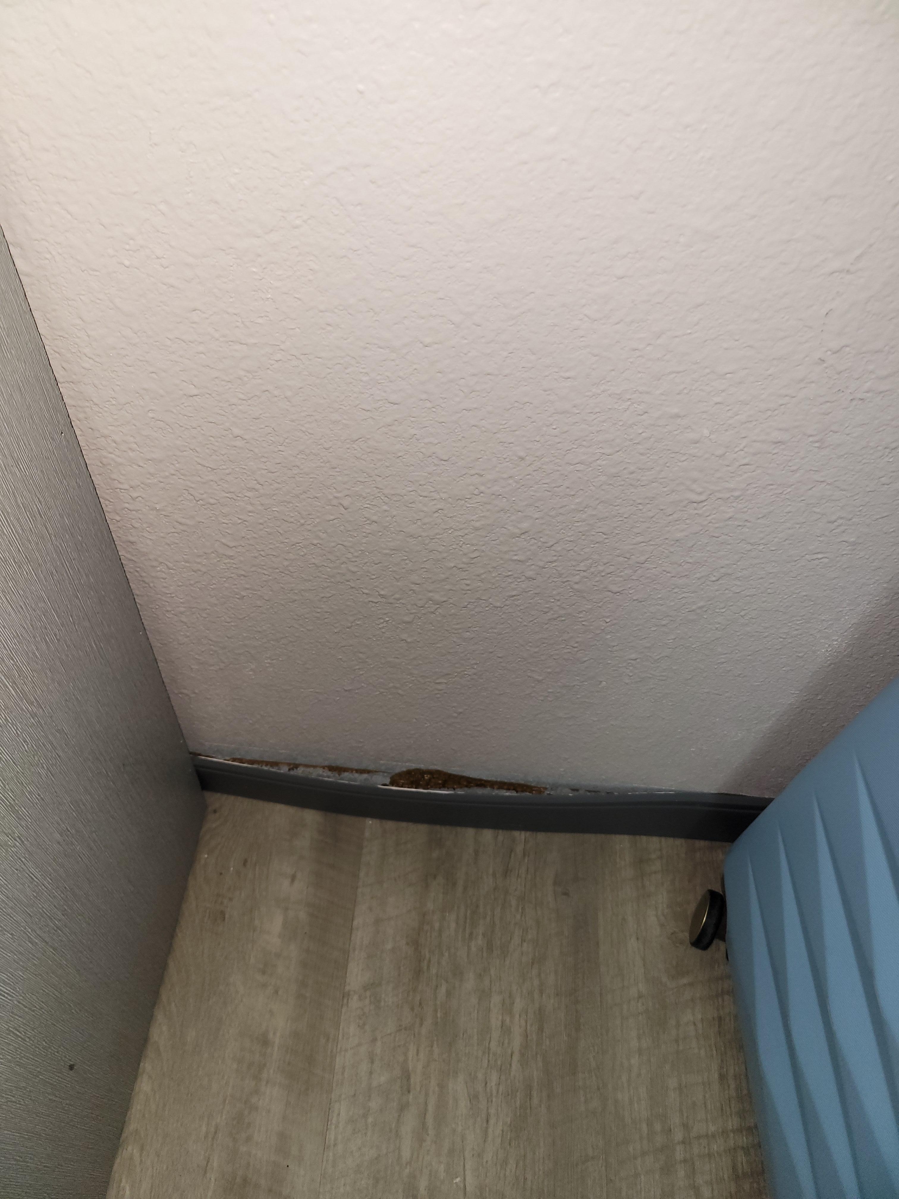 The rubber base was peeling from the wall. 