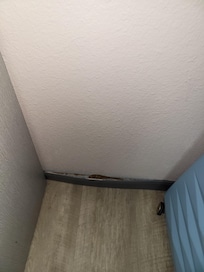 The rubber base was peeling from the wall.