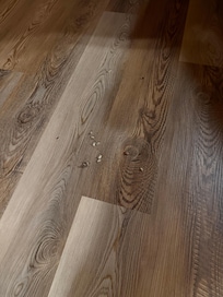 Pile of dead bugs on the floor