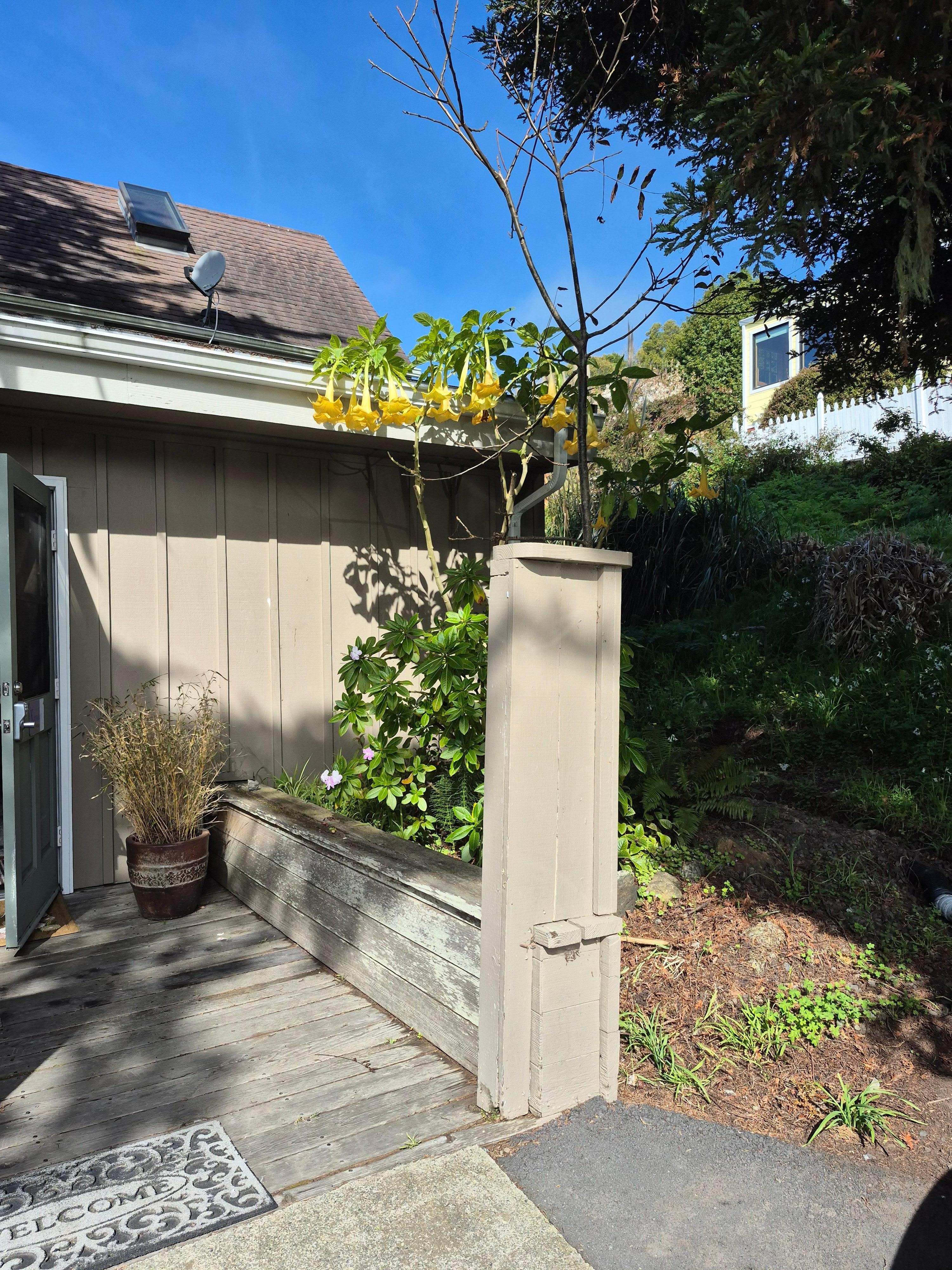 Separate entrance for our room