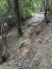 Trail to the swing bridge