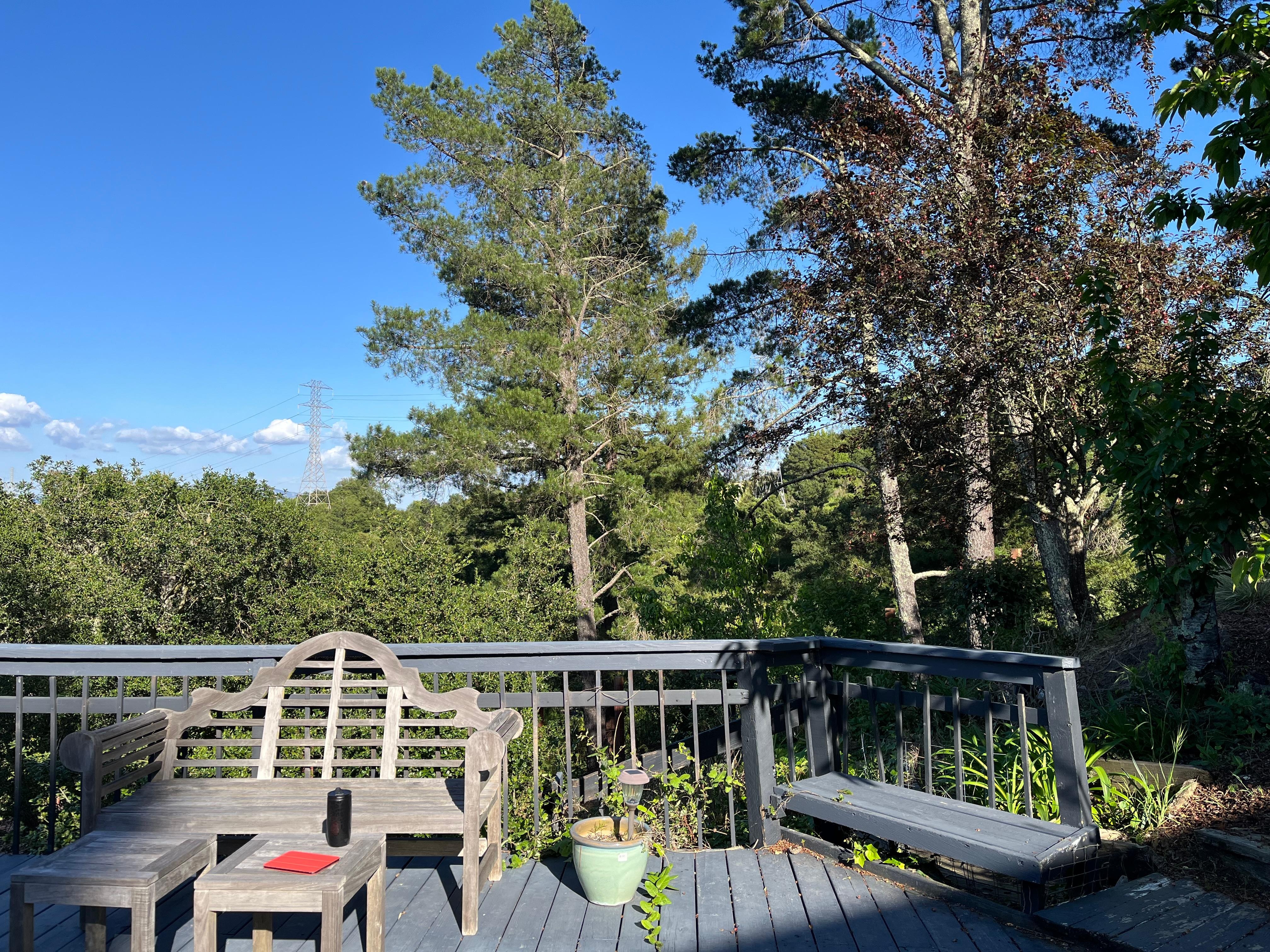 View from back desck