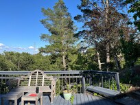View from back desck