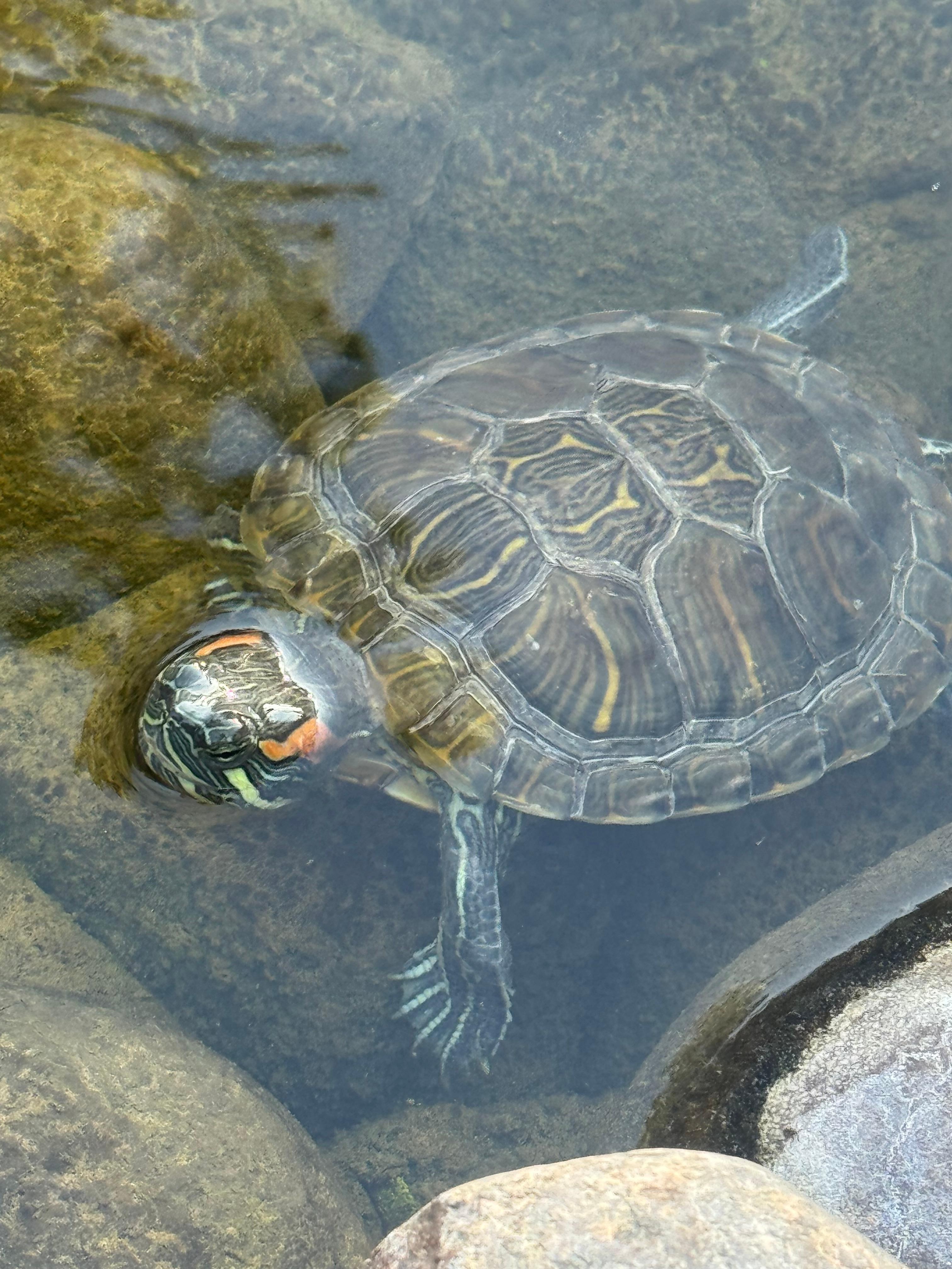 Sweet little touches like this :) 