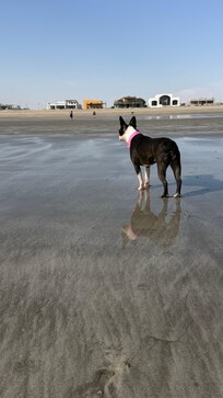 En la playa